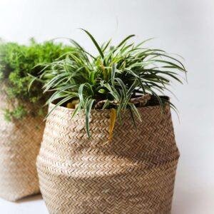 bamboo belly basket