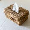 grass tissue box