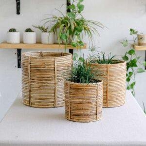 rattan cane planter