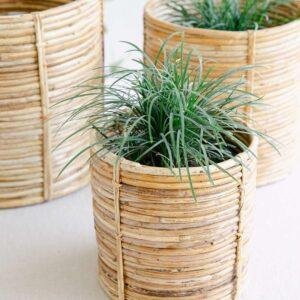 rattan cane planter