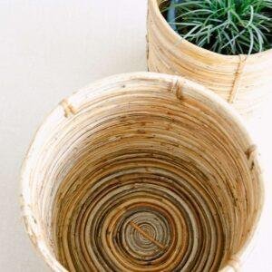 rattan cane planter