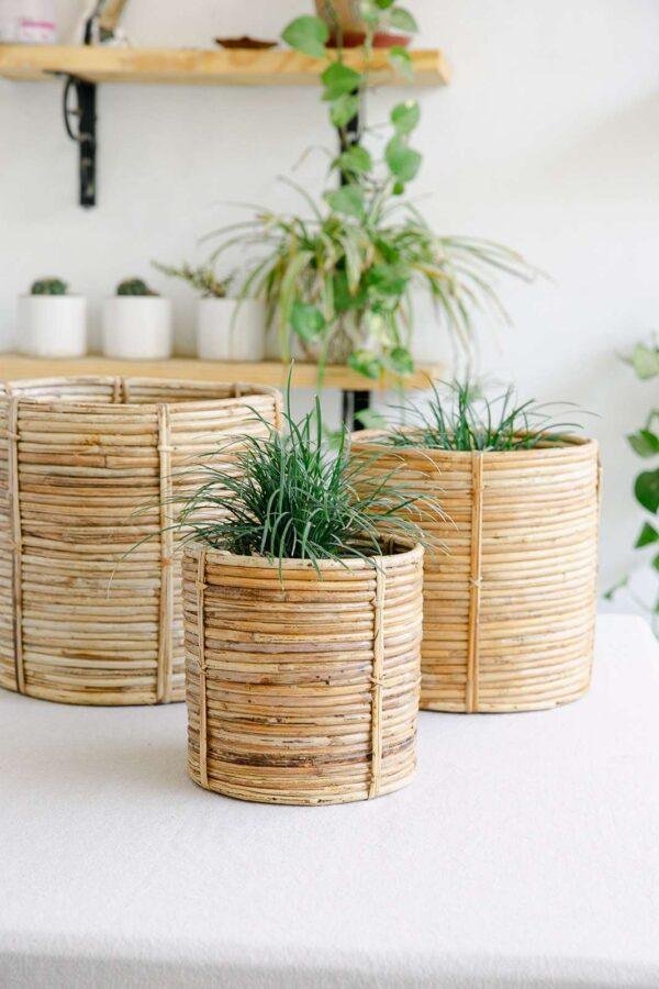 rattan cane planter