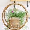 Cane hanging planter