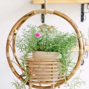 Cane hanging planter