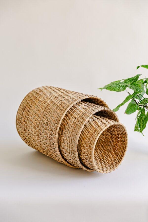 cane woven planter