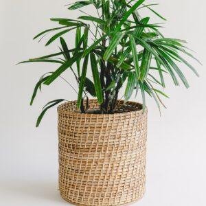 cane woven planter