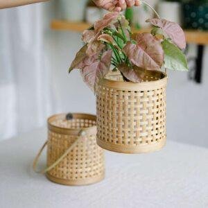 bamboo planter