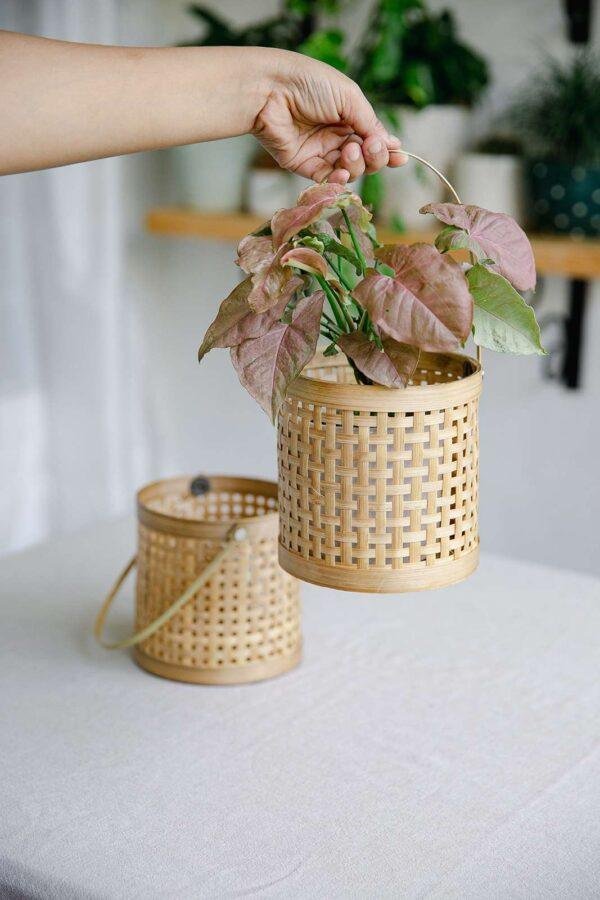 bamboo planter