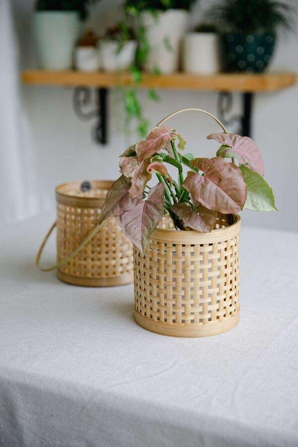 bamboo planter