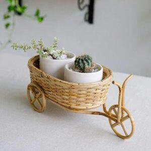 Cane cycle Planter