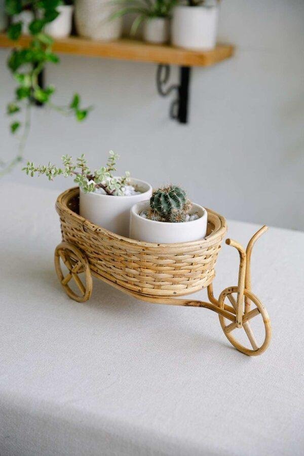 Cane cycle Planter