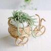 cane cycle planter