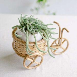 cane cycle planter