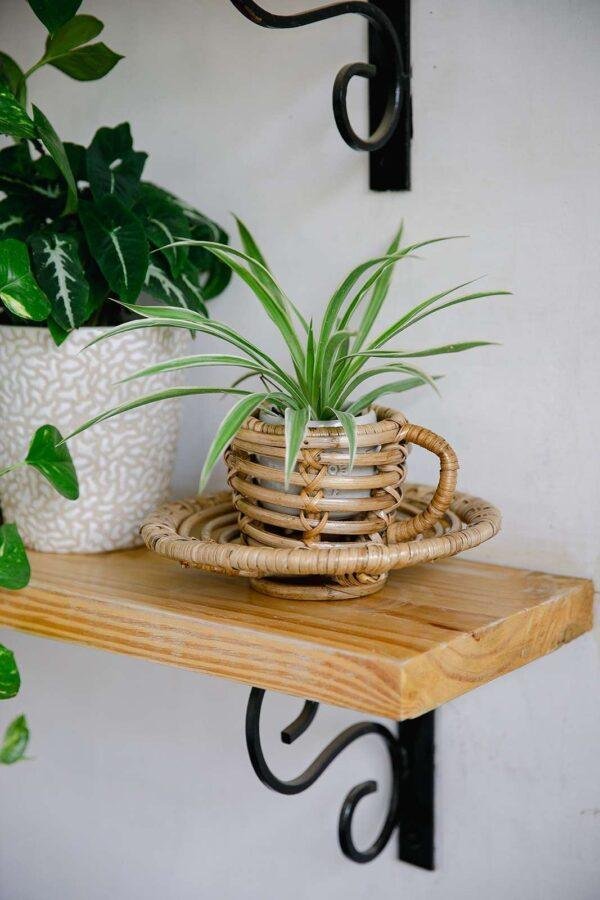 rattan cup planter