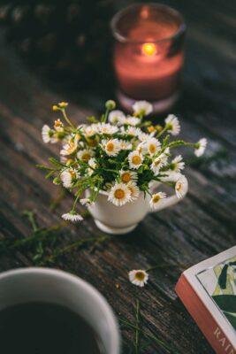 wildflower decor