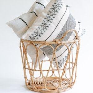 cane organizer/storage basket