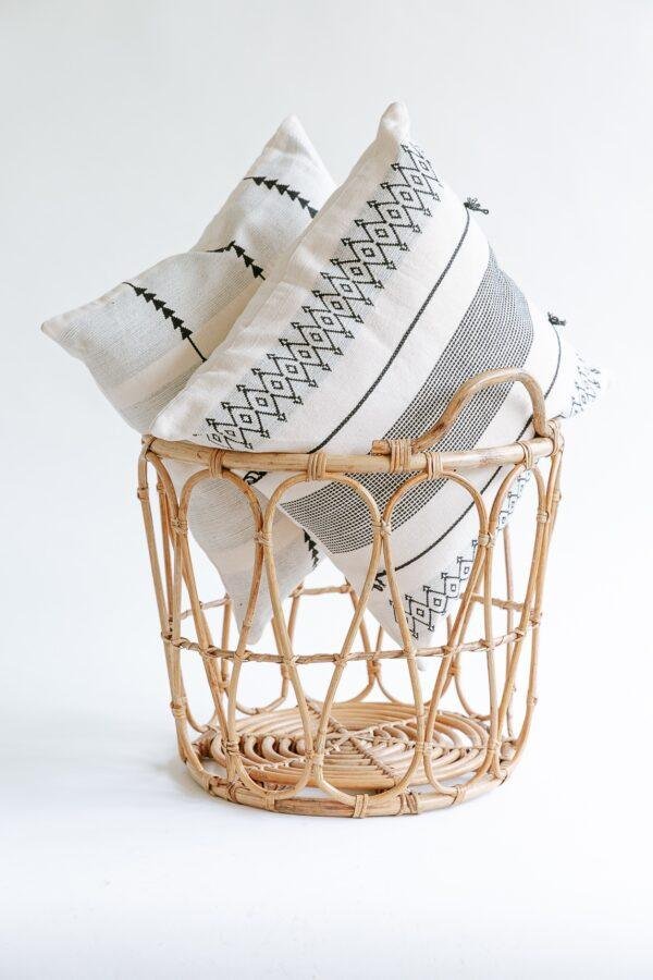 cane organizer/storage basket