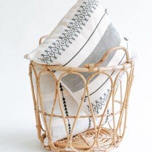 cane organizer/storage basket