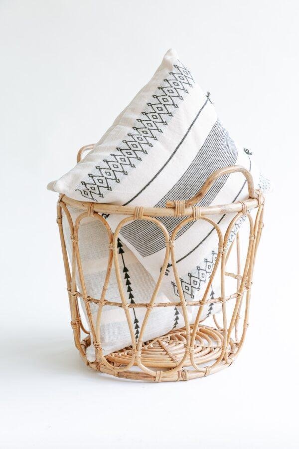 cane organizer/storage basket