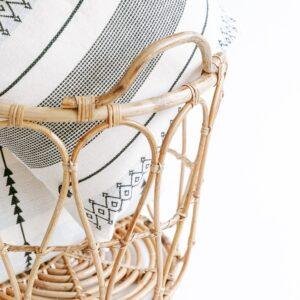 cane organizer/storage basket