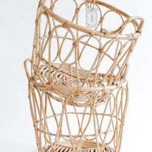 cane organizer/storage basket