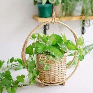 Cane hanging planter