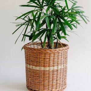 wicker planter