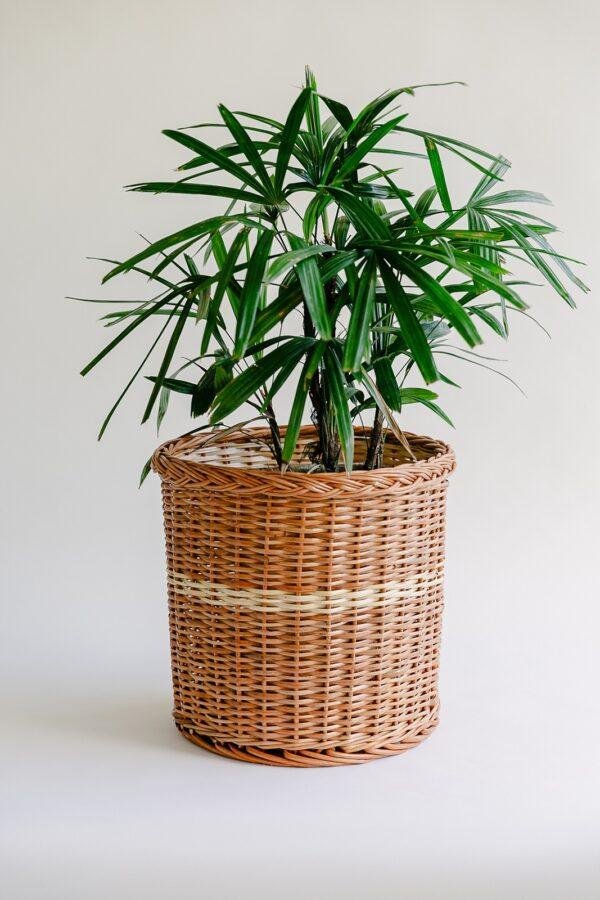 wicker planter