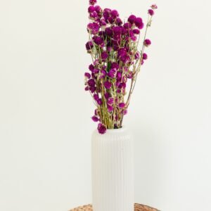 Dried Gomphrena Flowers