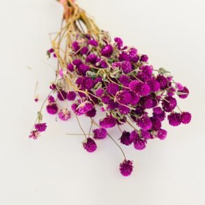 Dried Gomphrena Flowers