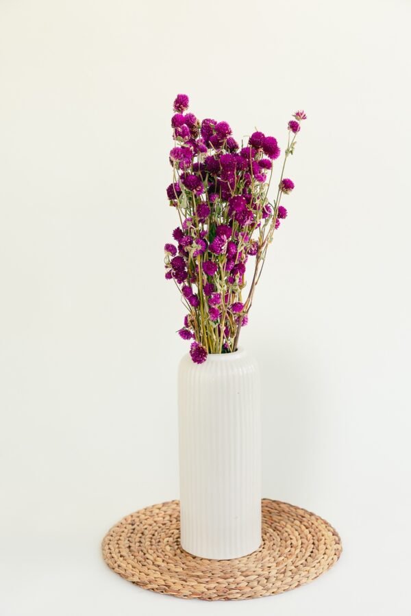 Dried Gomphrena Flowers