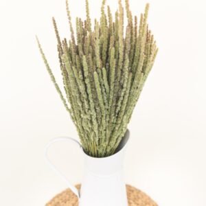 calluna dry
