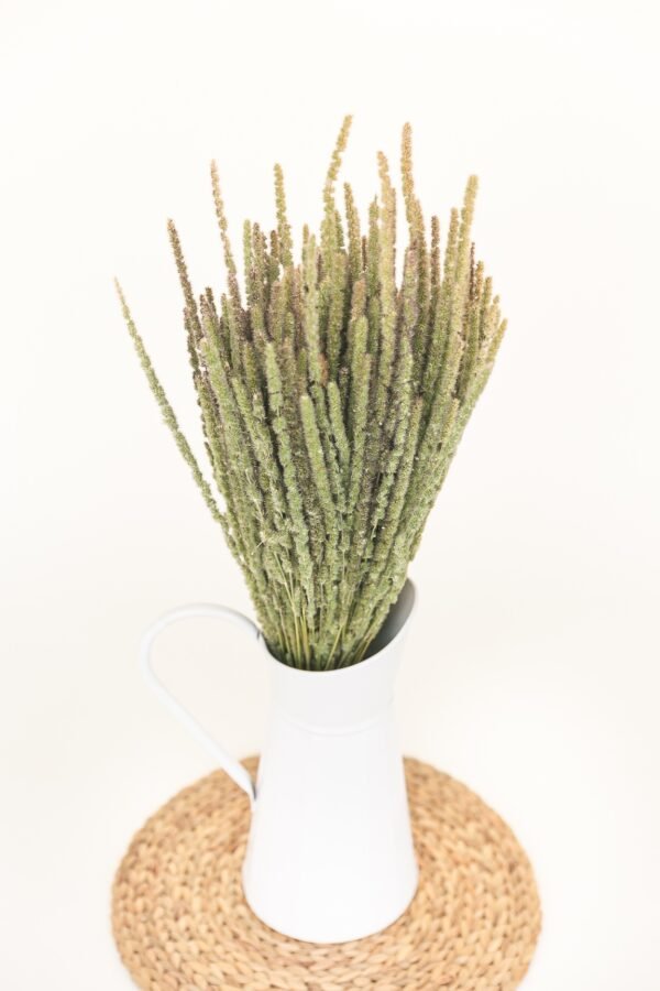 calluna dry