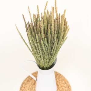 calluna dry