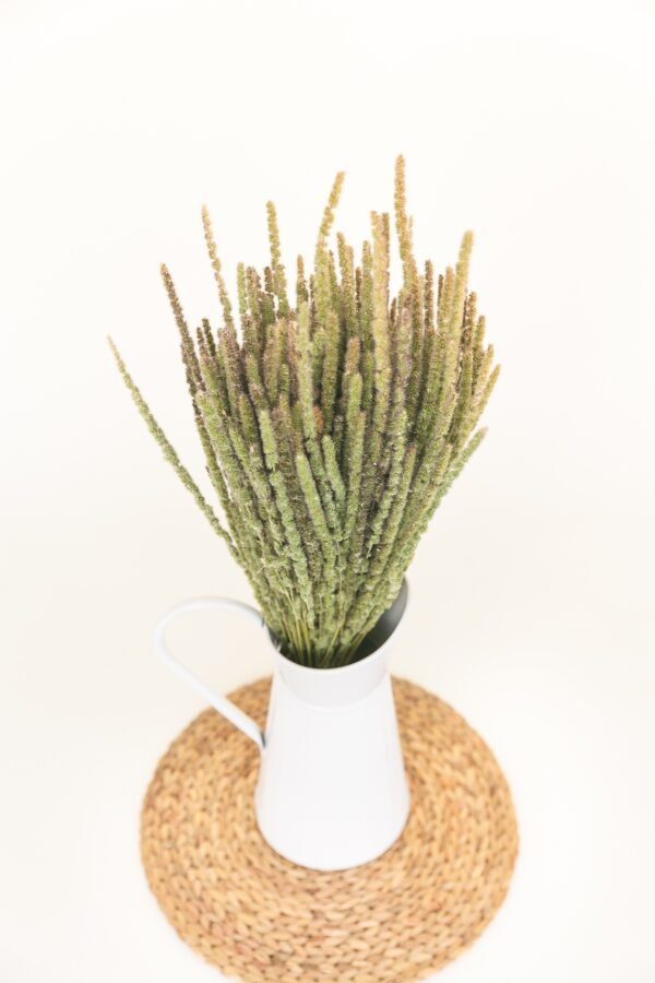 calluna dry