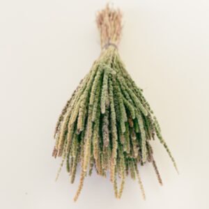 calluna dry