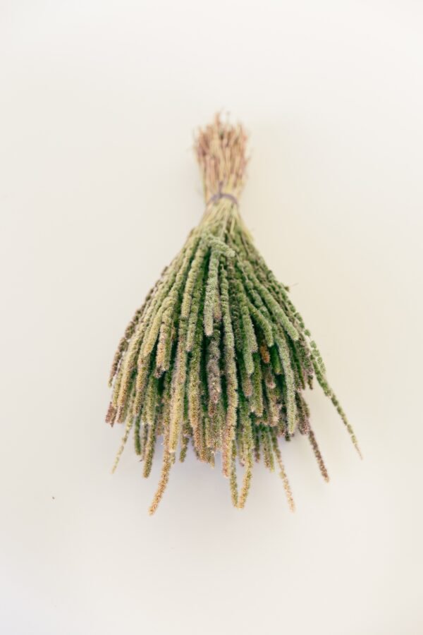 calluna dry