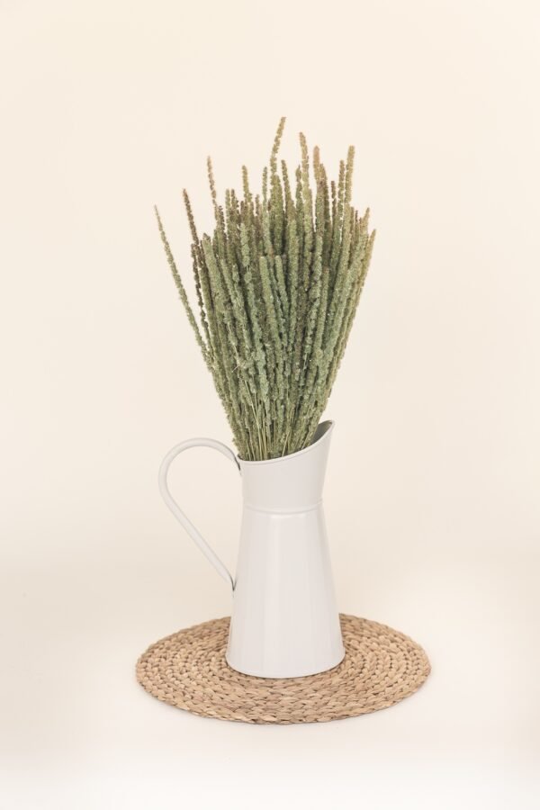 calluna dry