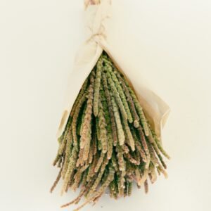 calluna dry