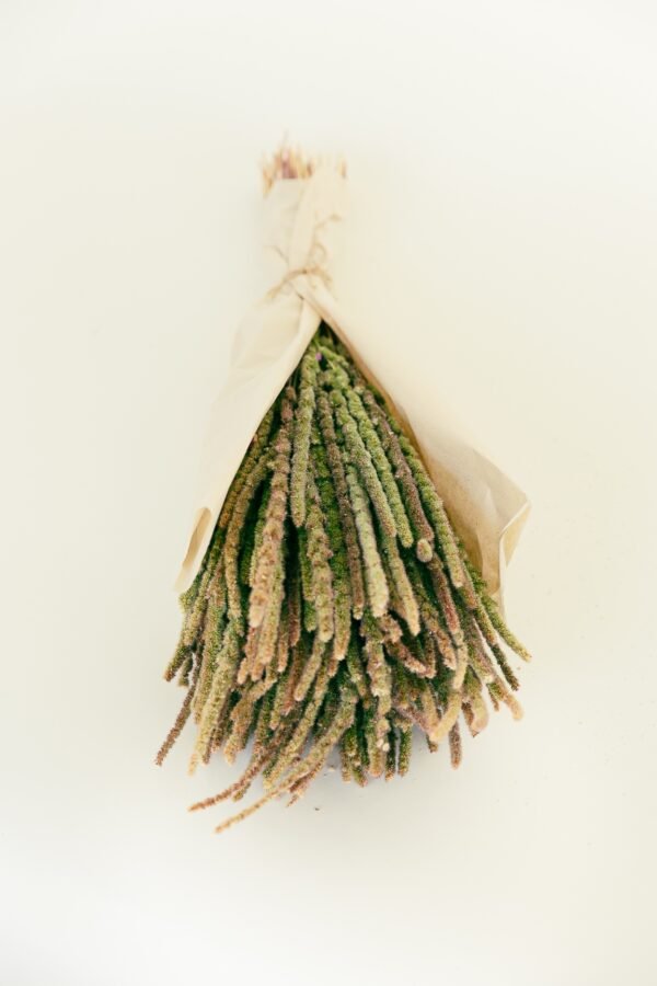 calluna dry