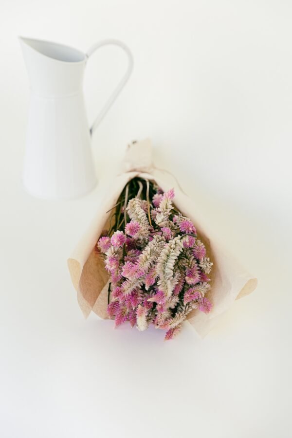 Flamingo Celosia Flowers Dry