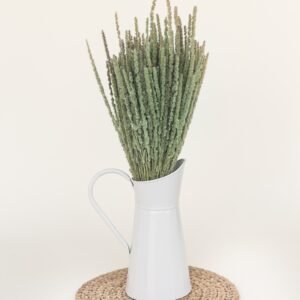 short & ribbed pitcher vase