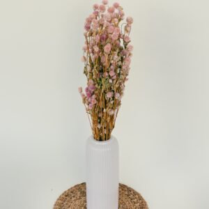 pink gomphrena flowers dry