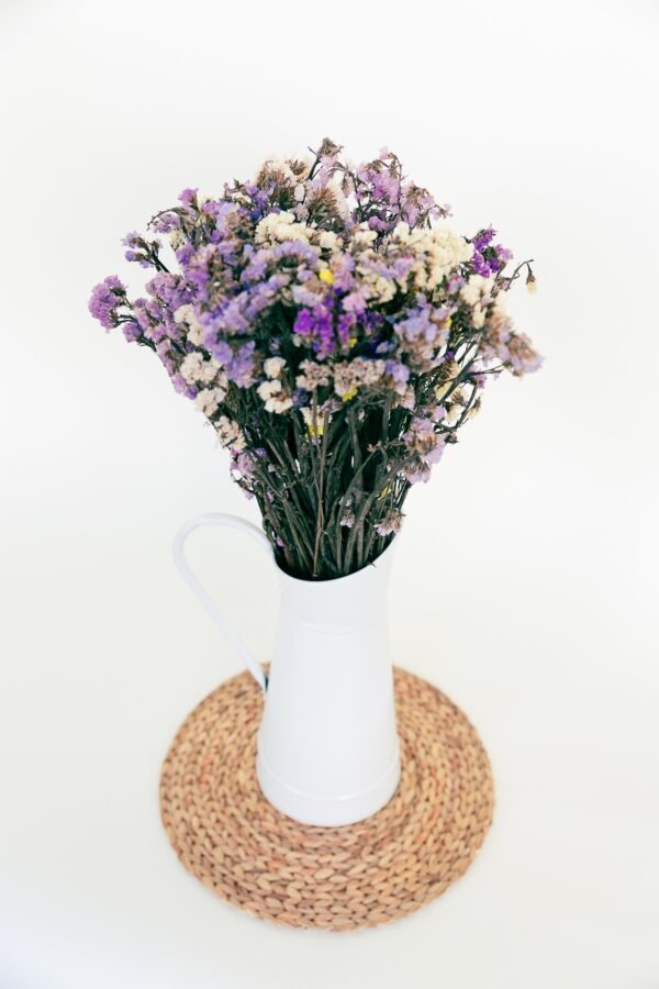 Statice Flowers Dry