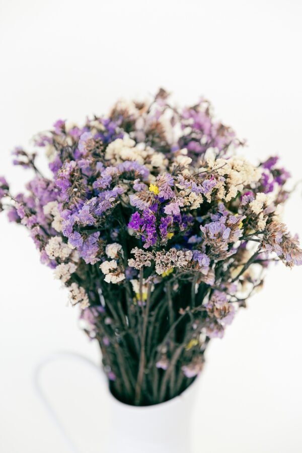 Statice Flowers Dry - Image 8
