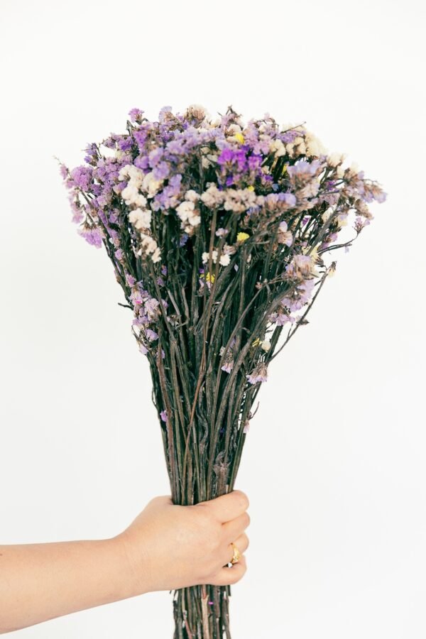 Statice Flowers Dry - Image 7