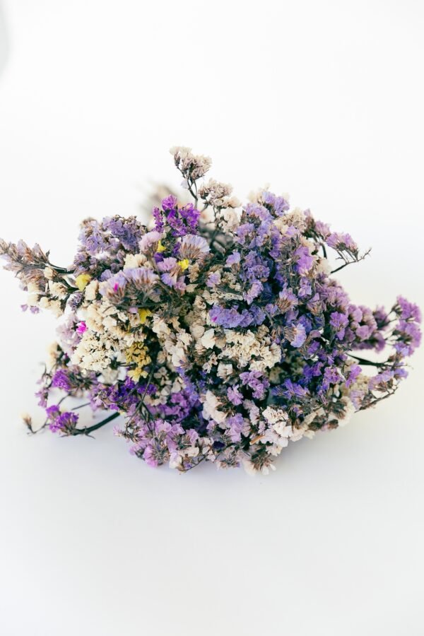 Statice Flowers Dry - Image 6
