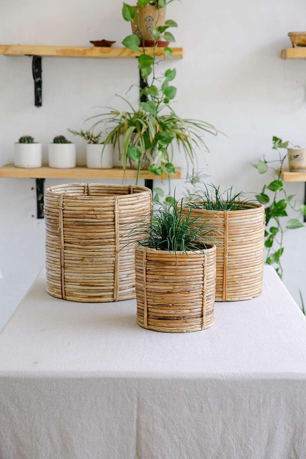rattan cane planter
